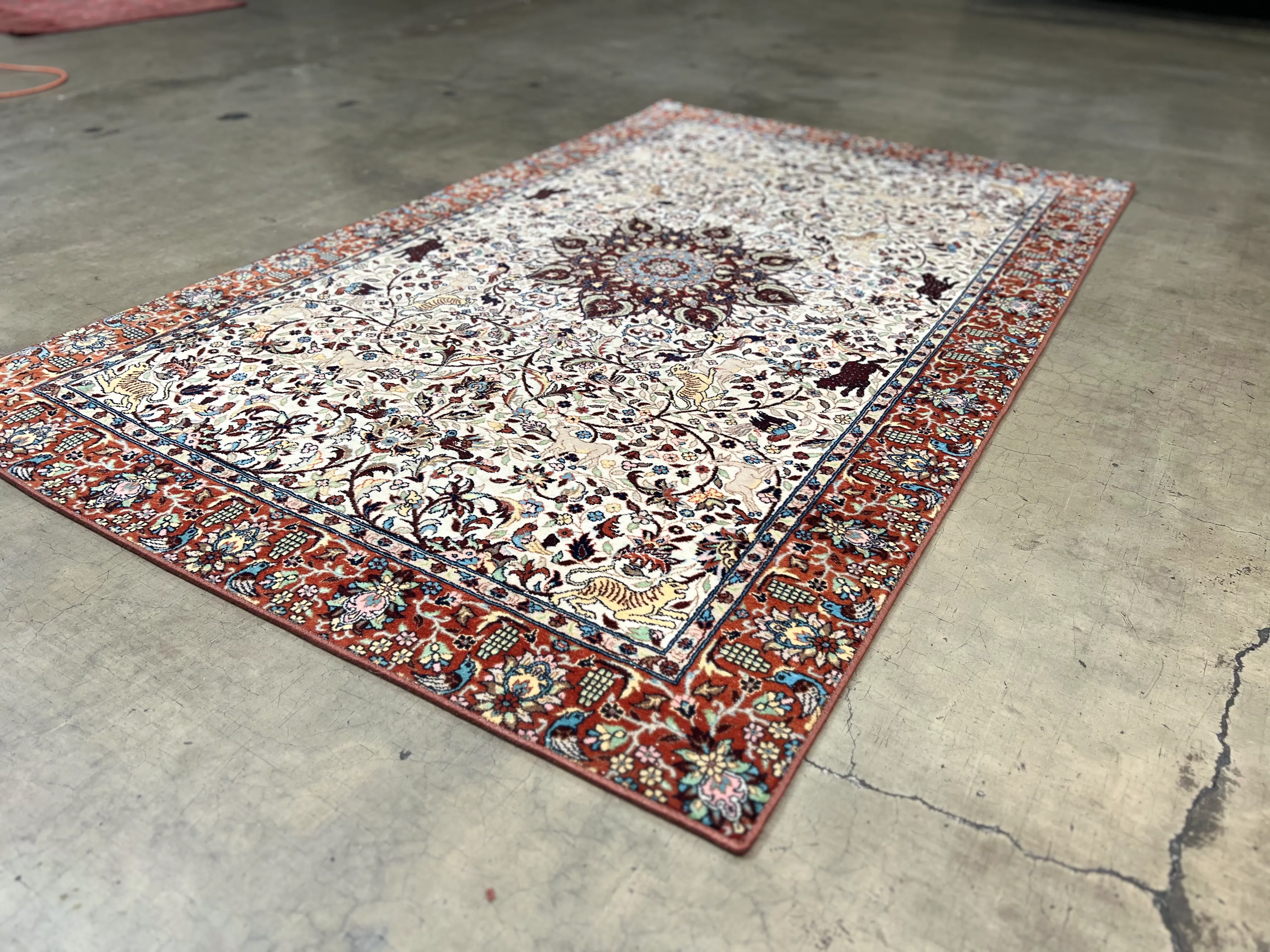 Professional rug washing process